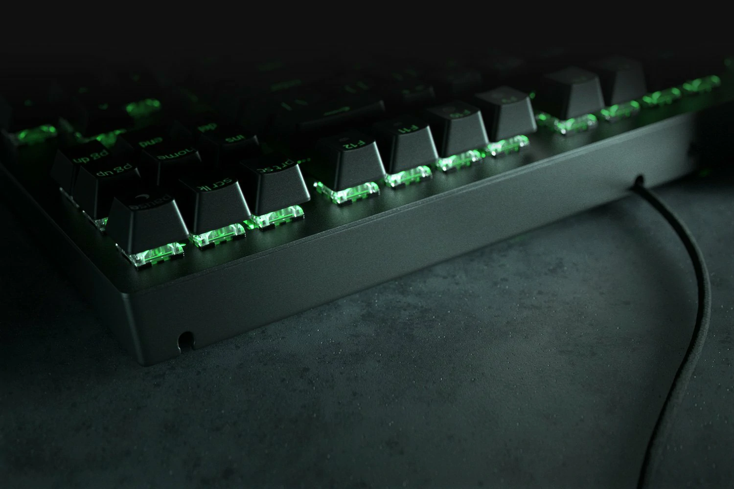 https___hybrismediaprod.blob.core.windows.net_sys-master-phoenix-images-container_h93_h95_9093698519070_rzr-blackwidow-v3-tenkeyless-2_1500x100-2