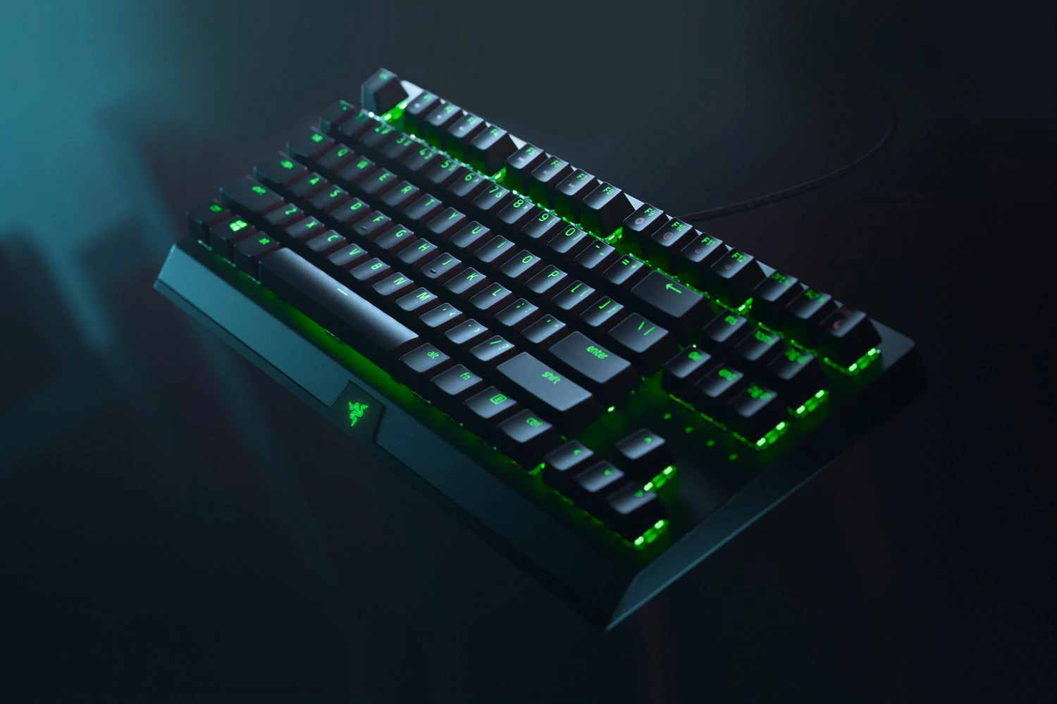 https___hybrismediaprod.blob.core.windows.net_sys-master-phoenix-images-container_hd2_h94_9093698584606_rzr-blackwidow-v3-tenkeyless-2_1500x100-1